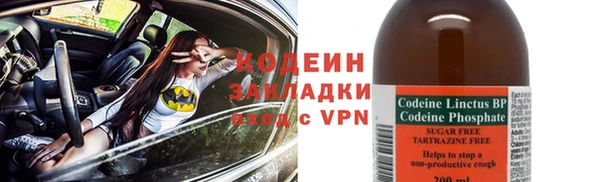 твердый Богданович