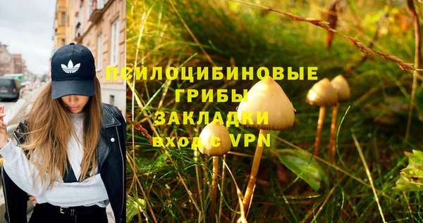 твердый Богданович