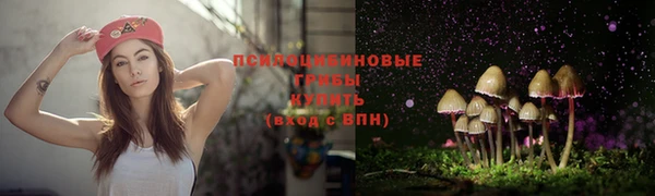 эйфоретик Богородицк
