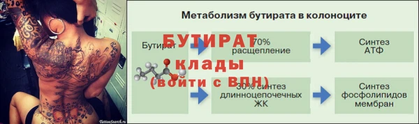 твердый Богданович