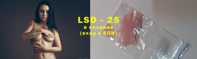 твердый Богданович