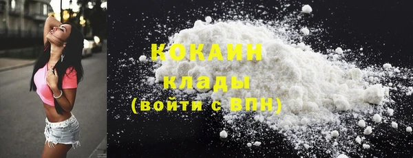 твердый Богданович
