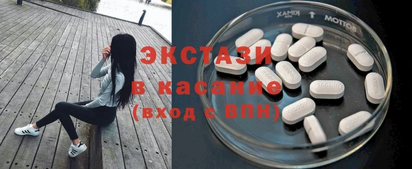 твердый Богданович