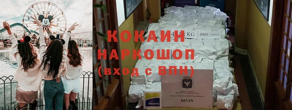 твердый Богданович