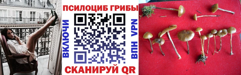 Псилоцибиновые грибы ЛСД  Добрянка 